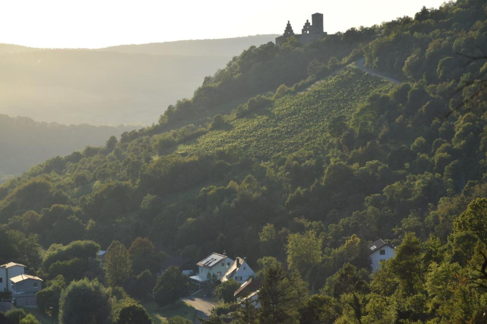 Angernest Appartement Elfershausen Buitenkant foto