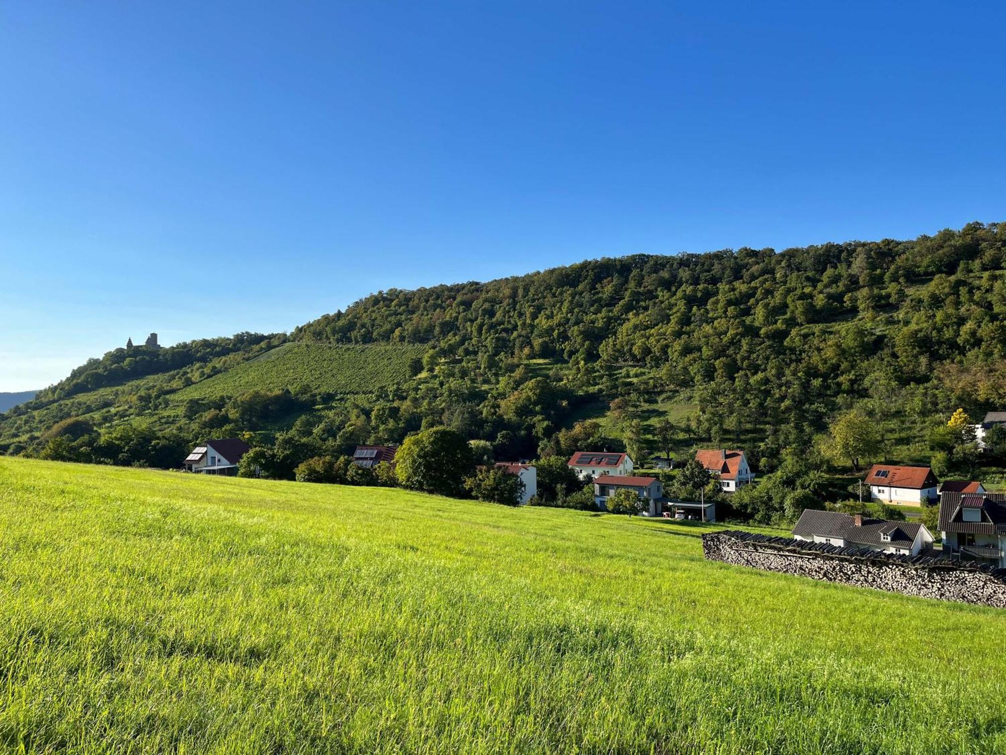 Angernest Appartement Elfershausen Buitenkant foto