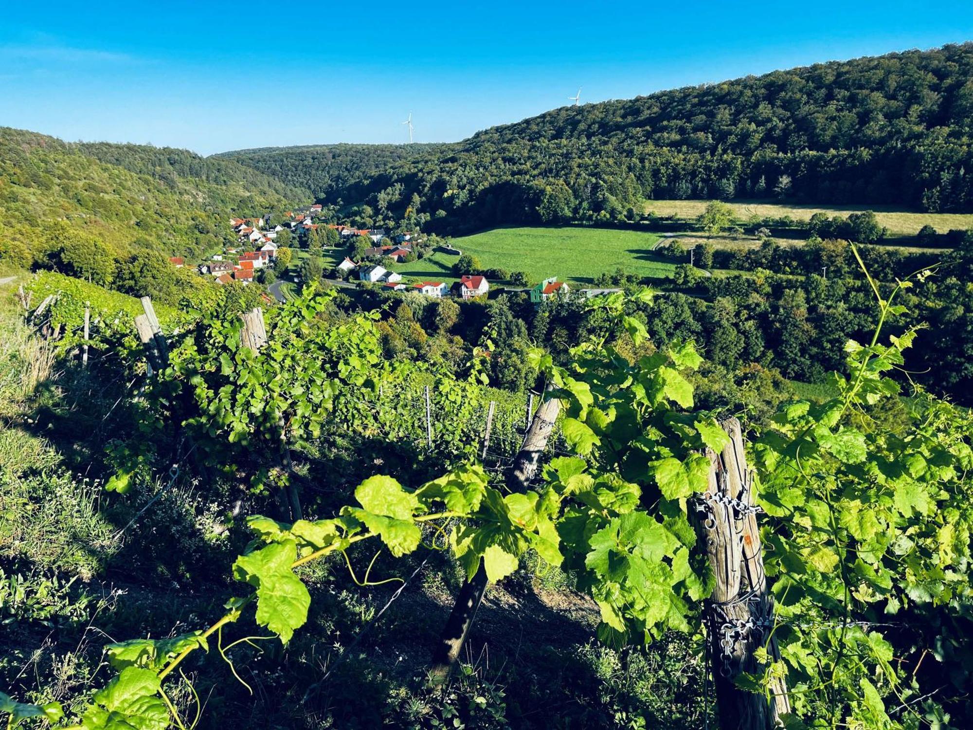 Angernest Appartement Elfershausen Buitenkant foto